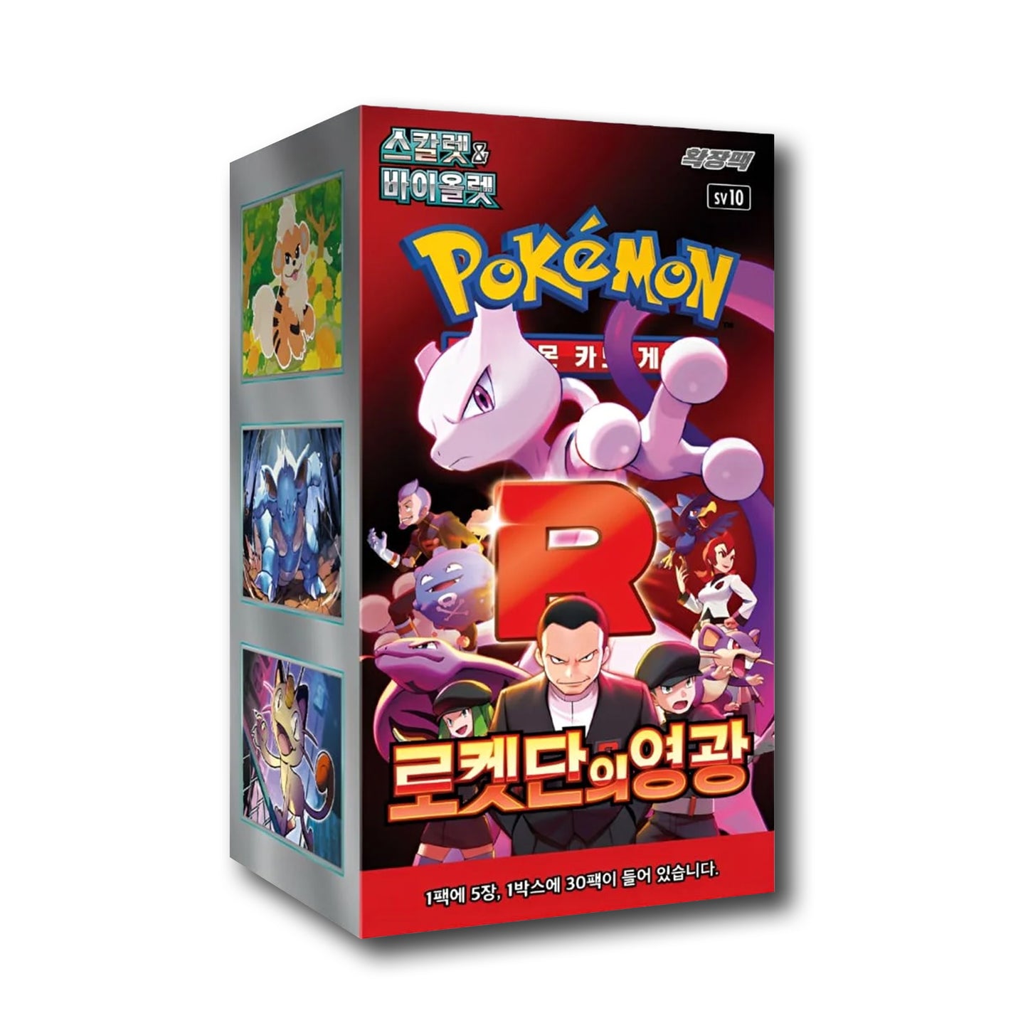 Team Rocket Display [KOR]